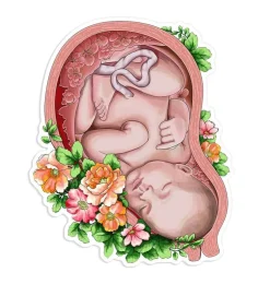 Fötus Aufkleber - Floral | Codex Anatomicus Clearance