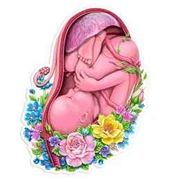 Fötus Aufkleber - Floral | Codex Anatomicus Discount