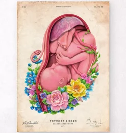 Fötus im Mutterleib - Floral - Altes Papier | Codex Anatomicus Hot