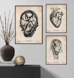 Fötus im Mutterleib II | Codex Anatomicus Sale