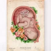 Fötus im Mutterleib II - Floral - Altes Papier | Codex Anatomicus Fashion