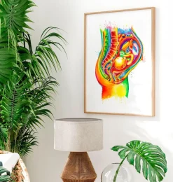 Fötus in der Uterusanatomie - Aquarell | Codex Anatomicus Fashion