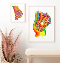 Fötus in der Uterusanatomie - Aquarell | Codex Anatomicus Fashion