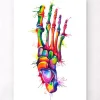 Fuß Anatomie - Aquarell | Codex Anatomicus Sale