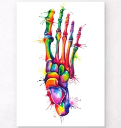 Fuß Anatomie - Aquarell | Codex Anatomicus Sale