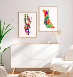 Fuß Anatomie - Aquarell | Codex Anatomicus Sale