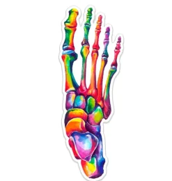 Fuß Anatomie Aufkleber - Aquarell | Codex Anatomicus Sale