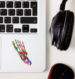 Fuß Anatomie Aufkleber - Aquarell | Codex Anatomicus Sale