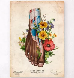 Fuß Anatomie II - Floral - Vintage | Codex Anatomicus New