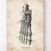 Fuß Anatomie Kunstdruck II | Codex Anatomicus Discount