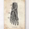 Fuß Anatomie Kunstdruck III | Codex Anatomicus Discount