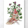 Fuß Anatomie mit Blumen | Codex Anatomicus Outlet