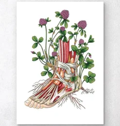 Fuß Anatomie mit Blumen | Codex Anatomicus Outlet