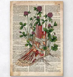 Fuß Anatomie mit Blumen - Altes Wörterbuch | Codex Anatomicus Hot