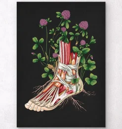 Fuß Anatomie with Flowers - Schwarz | Codex Anatomicus Best
