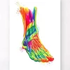 Fuß und Knöchel Anatomie - Aquarell | Codex Anatomicus New