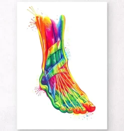 Fuß und Knöchel Anatomie - Aquarell | Codex Anatomicus New