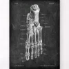 Fußanatomie - Chalkboard | Codex Anatomicus Fashion