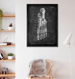 Fußanatomie - Chalkboard | Codex Anatomicus Fashion