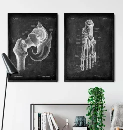 Fußanatomie - Chalkboard | Codex Anatomicus Fashion