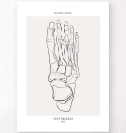 Fußskelett - Line-Art | Codex Anatomicus Clearance