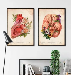 Gehirn Anatomie - Blumen - Altes Papier | Codex Anatomicus Online