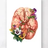Gehirn Anatomie - Floral | Codex Anatomicus Online