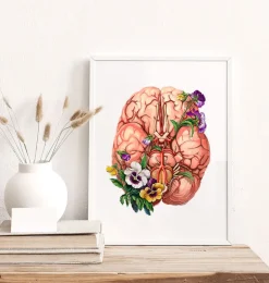 Gehirn Anatomie - Floral | Codex Anatomicus Online