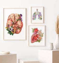 Gehirn Anatomie - Floral | Codex Anatomicus Online