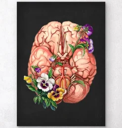 Gehirn Anatomie - Floral - Schwarz | Codex Anatomicus Online