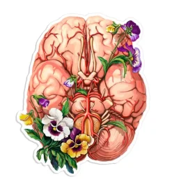 Gehirn Anatomie Aufkleber - Floral | Codex Anatomicus Fashion