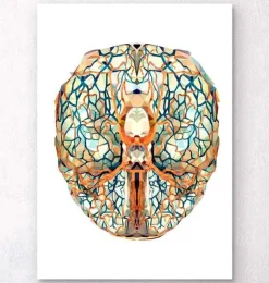 Gehirn Anatomie I - Geometrisch | Codex Anatomicus Online