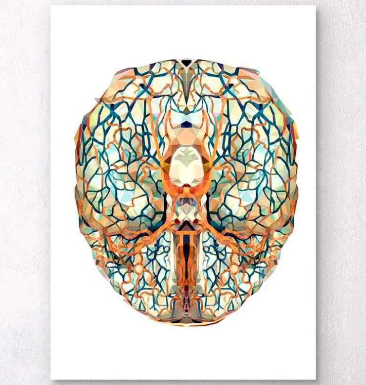 Gehirn Anatomie I - Geometrisch | Codex Anatomicus Online