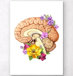Gehirn Anatomie II - Floral - Weiß | Codex Anatomicus Outlet