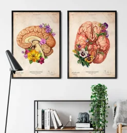 Gehirn Anatomie II - Floral - Altes Papier | Codex Anatomicus Online