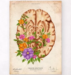 Gehirn Anatomie III - Floral - Vintage | Codex Anatomicus Hot