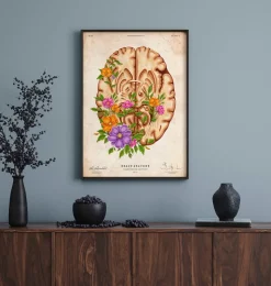 Gehirn Anatomie III - Floral - Vintage | Codex Anatomicus Hot