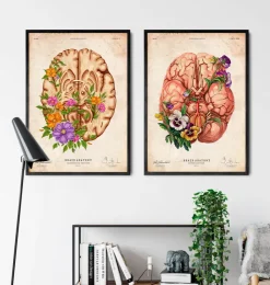 Gehirn Anatomie III - Floral - Vintage | Codex Anatomicus Hot