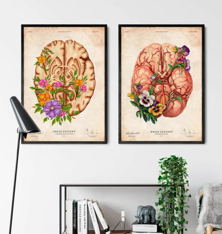 Gehirn Anatomie III - Floral - Vintage | Codex Anatomicus Hot