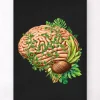 Gehirn Anatomie IV - Floral - Vintage | Codex Anatomicus Discount