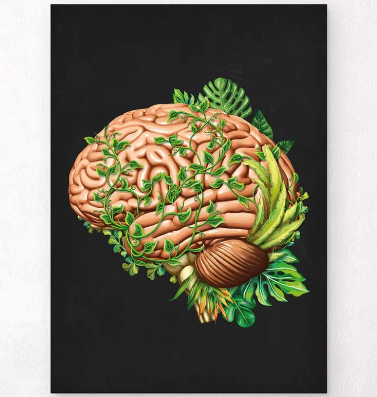 Gehirn Anatomie IV - Floral - Vintage | Codex Anatomicus Discount