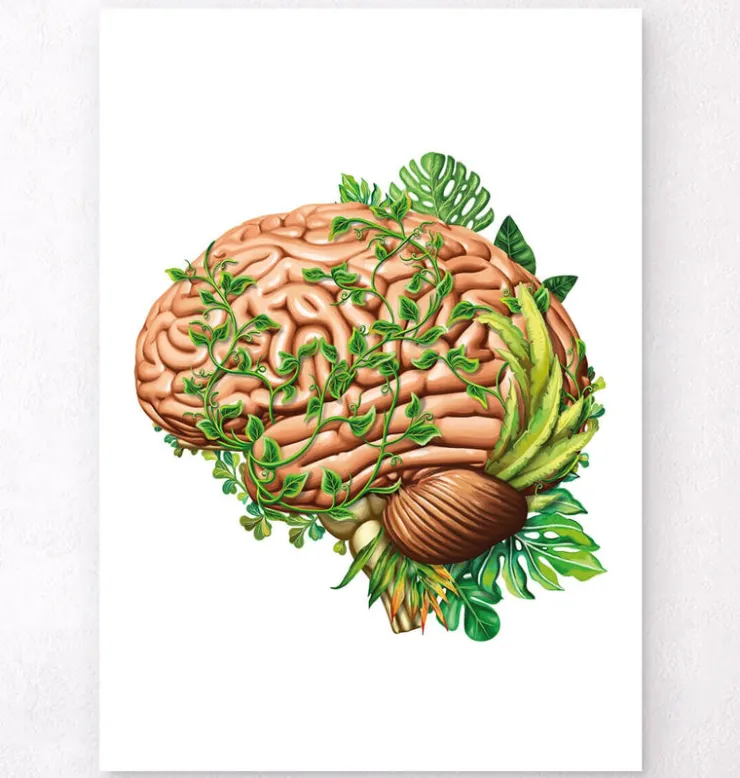 Gehirn Anatomie IV - Floral - Vintage | Codex Anatomicus Sale