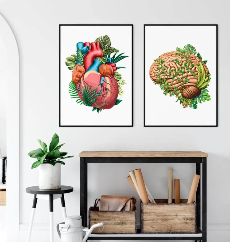 Gehirn Anatomie IV - Floral - Vintage | Codex Anatomicus Sale