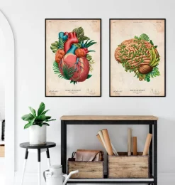 Gehirn Anatomie IV - Floral - Vintage | Codex Anatomicus Online