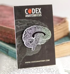 Gehirn 'Chalkboard' Stil - Emaille Pin | Codex Anatomicus Online