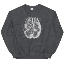 Gehirn II Unisex Sweatshirt - Chalkboard | Codex Anatomicus New