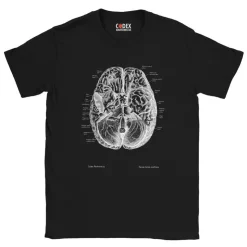Gehirn II Unisex T-Shirt - Chalkboard | Codex Anatomicus Best
