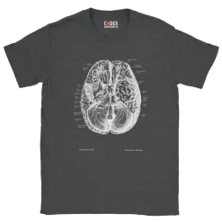 Gehirn II Unisex T-Shirt - Chalkboard | Codex Anatomicus Best