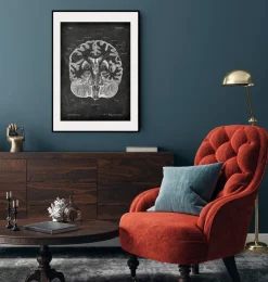 Gehirn im Schnitt - Chalkboard | Codex Anatomicus Fashion
