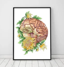 Gehirn mit Blumen | Codex Anatomicus Sale